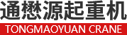 河南通懋源起重机有限公司